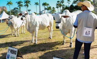 Uma Feira movimenta o agronegócio no Paraná