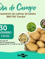 A 1ª Feira da Agroecologia será no Rio Grande do Sul