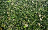 A importância da Amazônia para o ecoturismo e o meio ambiente mundial