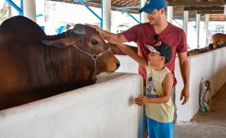 Contagem regressiva para a 79ª Exposição Nordestina de Animais do Recife