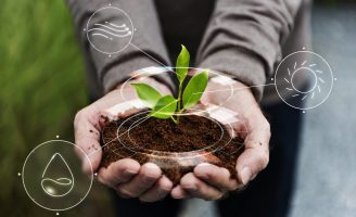 Uso de insumos biológicos pode elevar a produtividade da soja