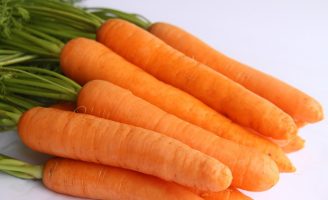 Novidade para a cadeia produtiva da cenoura: uma nova cultivar chega ao mercado