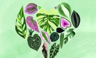 Manusear plantas e jardins garante saúde mental para as pessoas