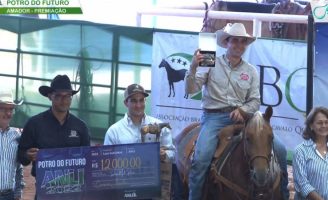 Potros quarto de milha batem recorde de pontuação na competição Potro do Futuro categoria laço
