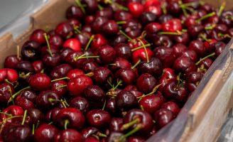 Cereja, uma fruta tradicional para enfeitar as mesas do Natal