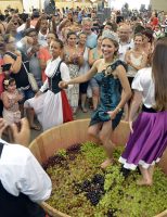 Festa da Uva de Jundiaí volta a ser presencial