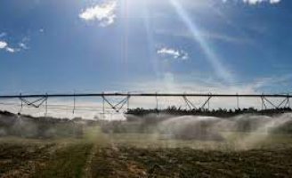 A Confederação da Agricultura e Pecuária prevê aumento de 2,5% do PIB do Agronegócio no Brasil