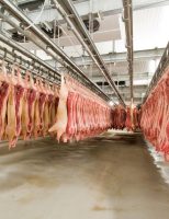 Produtores brasileiros de carne suína confirmam crescimento nas exportações em 2023