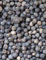 As sementes de pimenta-do-reino chegaram ao Brasil há mais de três séculos