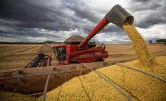 O avanço da colheita da safra de soja para 2023