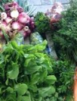 Analise em produtos orgânicos identifica duas feiras orgânicas de Pernambuco vendendo produtos inadequados