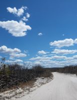Mudanças climáticas provocam danos na caatinga brasileira