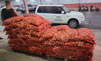 Fiscais fazem apreensão de mais de 90 toneladas de produtos irregulares nos estados da região sul do país