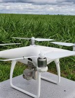 Uso de drones garante qualidade no monitoramento de pastagens