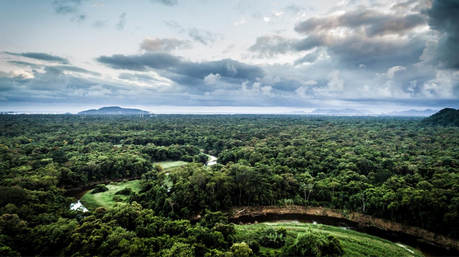 Hoje é o Dia Nacional da Mata Atlântica | Nordeste Rural
