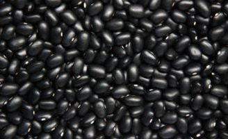 Lançada uma nova semente de feijão preto para o produtor brasileiro