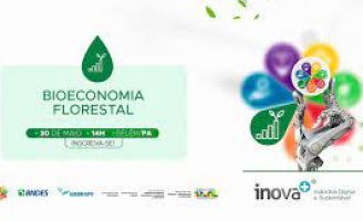 Projetos de bioeconomia florestal no Norte do Brasil terão R$ 30 milhões para incentivo