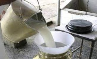Mercado leiteiro se beneficia com o aumento na produção de grãos