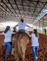 Conviver com animais ajuda a tratar a depressão e ansiedade