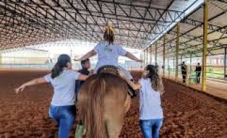 Conviver com animais ajuda a tratar a depressão e ansiedade