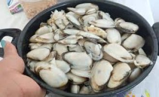 Trilha de turismo em comunidades de pescadores de mariscos promove mais renda para as marisqueiras de Pernambuco