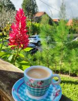 Um café no frio de Gravatá, em Pernambuco