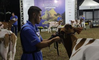 Uma exposição mostra a força do setor leiteiro no Paraná