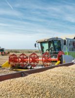 Um semestre de recordes para as exportações do agronegócio brasileiro