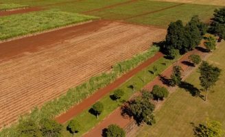 Inscrições para participar da seleção do Programa de Residência Agrícola