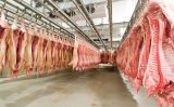 Cresce a exportação de carne de porco brasileira
