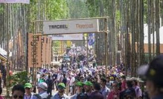 Maior feira florestal do mundo aconteceu no Brasil
