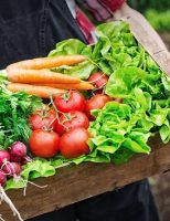 Confirmados os dias da feira Ibiapaba Agrotech no mês de setembro no Ceará