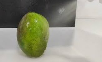 Uma película comestível é capaz de aumentar a vida útil de frutas e verduras quando revestidas por ela