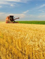Governo libera mais dinheiro para aplicação nos financiamentos do Plano Safra para agronegócio e agricultura familiar