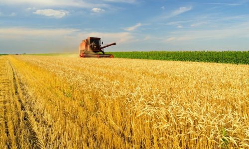 <h2><a href="https://nordesterural.com.br/governo-libera-mais-dinheiro-para-aplicacao-nos-financiamentos-do-plano-safra-para-agronegocio-e-agricultura-familiar/">Governo libera mais dinheiro para aplica&ccedil;&atilde;o nos financiamentos do Plano Safra para agroneg&oacute;cio e agricultura familiar</a></h2>O Governo Federal decidiu antecipar contrata&ccedil;&otilde;es que ocorreriam ao longo do ano agr&iacute;cola e com isso o BNDES disponibilizar&aacute;, a partir de agora R$ 5,1 bilh&otilde;es adicionais no &acirc;mbito dos