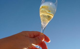 Mais de 50 degustadores vão escolher os melhores espumantes do 13º concurso de Espumantes brasileiros