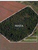 Como recuperar um solo degradado com práticas de manejo adequadas