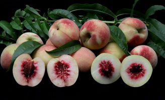 O Brasil já tem uma nova cultivar de pêssego que pode dar frutos na época da entressafra