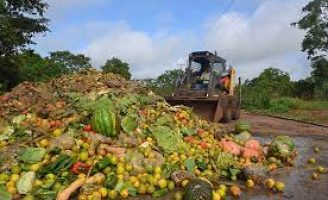 Uma campanha para reduzir o desperdício de alimentos no Brasil
