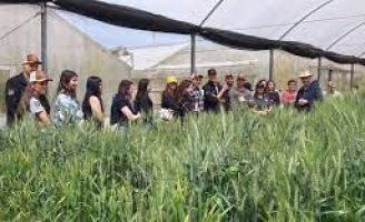 Atual momento do agronegócio no Brasil provoca um crescimento na procura pelo curso de  Agronomia