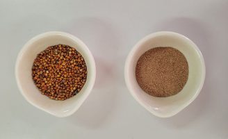 Farinha integral de sorgo é antioxidante e pode reduzir a vontade de comer demais