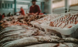 Produtores brasileiros de peixes e derivados vão vender seus produtos para o Egito