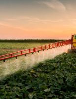 O Brasil quer dobrar a produtividade agrícola em dez anos