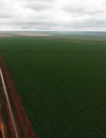 Uso de satélite evita 168 incêndios em fazendas brasileiras