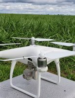 O monitoramento da qualidade das pastagens através do uso de drones