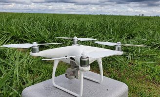 O monitoramento da qualidade das pastagens através do uso de drones