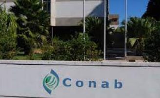Um relatório da Conab para ações de abastecimento social e segurança alimentar no estado de Pernambuco