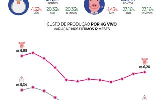 Custos de produção para suínos e aves foram menores nos últimos doze meses