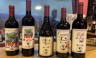 Já é possível fazer vinho tinto usando as propriedades de fermentado do açaí