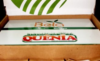 Um kit especial para ampliar o uso de cultivares de capim adaptados a várias regiões do pais